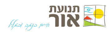 תנועת אור